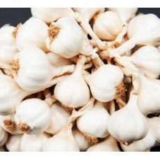 Ly Son garlic price and how to distinguish fake